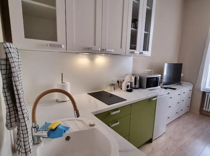 Appartement Cosy One Seperate Bedroom In Center, Perfect For Family Trip. *